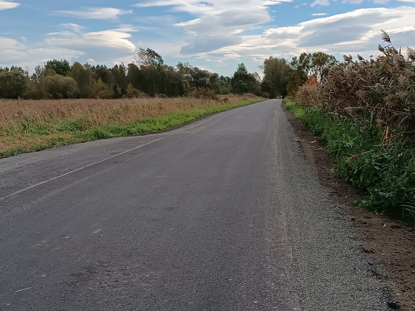 Remont ulicy Przyrębskiej
