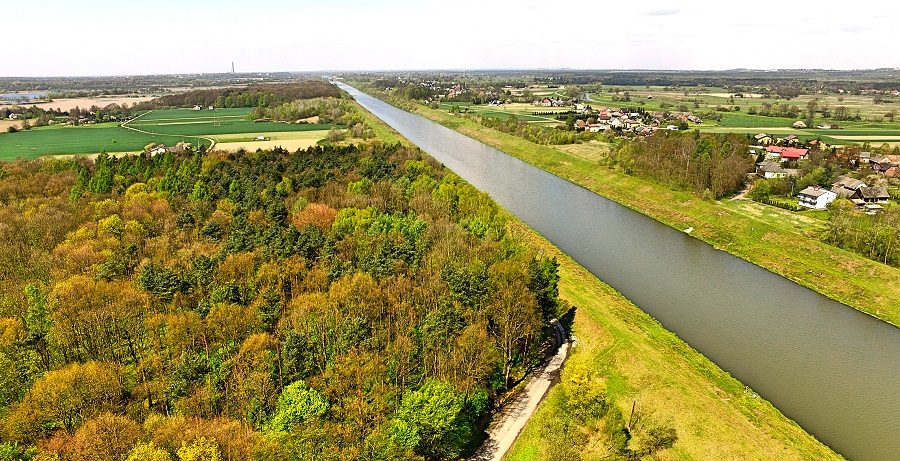 Rezerwat przyrody Przeciszów kanał Wisła