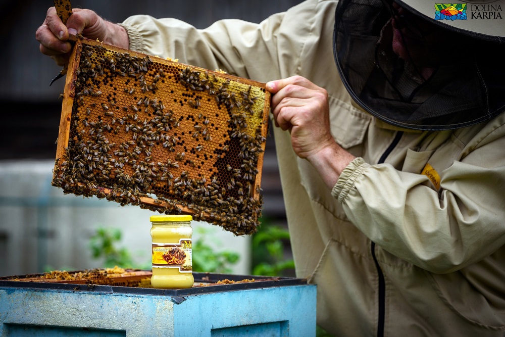 Marka Doliny Karpia - Gmina Brzeźnica