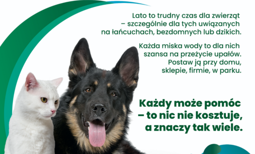 Zdjęcie do Mały gest, wielka moc &ndash; wystaw miskę!
